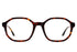 LT22 ISABELLE col.Tortoise